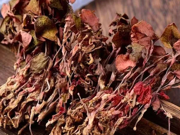 سپر گریڈ خشک Anoectochilus Roxburghii خاص بازاروں میں پہنچ گیا۔