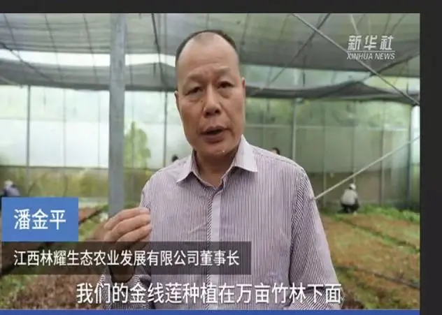 Jiangxi Linyao ایکولوجیکل ایگریکلچر ڈیولپمنٹ کمپنی لمیٹڈ کے چیئرمین پین جن پنگ کا سنہوا نیوز ایجنسی نے انٹرویو کیا
